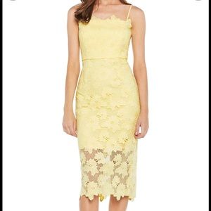 Bardot Sunshine Lace Sheath Dress